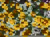 大人の遊園痴「スピーディー」　りつ（敏感で癒し系）