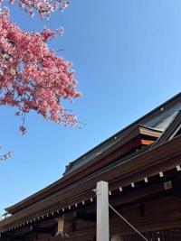 Luxury 樋口ゆあ 毎日日記頑張りたい