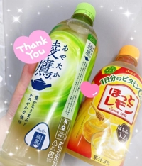 宮崎ちゃんこ都城店　ここな