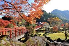 一夜の愛人　もか