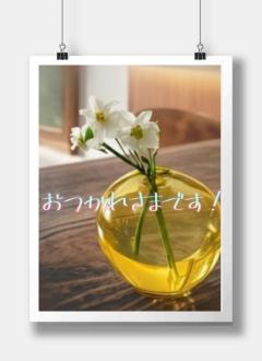 JaPON　茶々ﾁｬﾁｬ