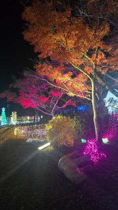 鹿児島ちゃんこ 天文館店　