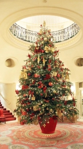 待ちナビ　いろは