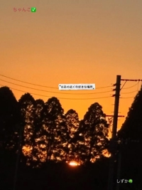 鹿児島ちゃんこ 霧島店　しずか