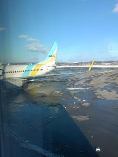 行ってきます??