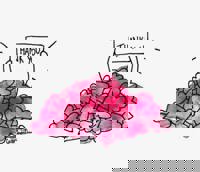 宮崎ちゃんこ中央通店　ある