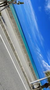 かりゆしOLの秘密　