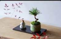 待ちナビ　あゆみ