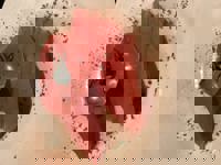 大人の遊園痴「スピーディー」　りつ（敏感で癒し系）