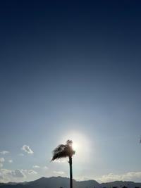 スウィートルーム　