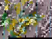 大人の遊園痴「スピーディー」　ゆう（美脚でスレンダー）