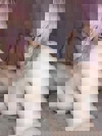 宮崎ちゃんこ中央通店　