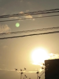 鹿児島ちゃんこ 霧島店(霧島市) しずか