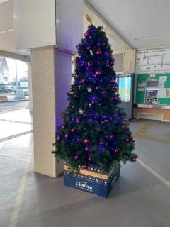 Roots(ルーツ)　♡逆夜這いコース♡