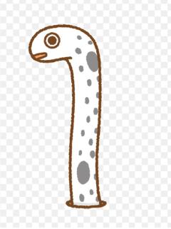 CLUB LUMINE　Haru【ハル】