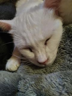 保険屋のおばちゃん　まり