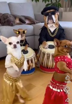 ご主人様いらっしゃい 大分店　