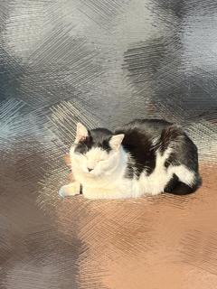 CLUB LUMINE　Haru【ハル】