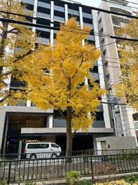 待ちナビ　ゆうか