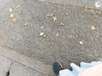 宮崎ちゃんこ都城店　くぅ