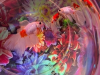 amazing（アメイジング）　るい❀