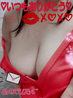 MICHELIN ミシュラン　