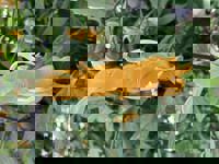 大人の遊園痴「スピーディー」　えみ（爆乳エロ娘）