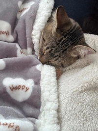 TheGrandPhoenix 澪夏※伝説クラスのSSS級美女 おはおは