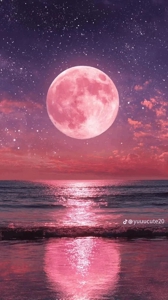 TheGrandPhoenix　ありさ※可愛い清楚奥様