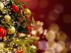 鹿児島ちゃんこ薩摩川内店　なな