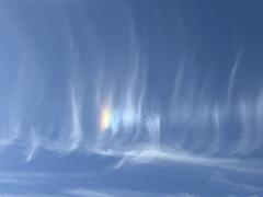 ご主人様いらっしゃい 大分店　ご主人様いらっしゃい♡