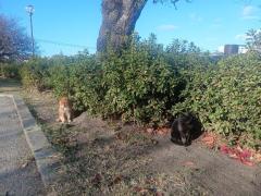 鹿児島天文館デリヘルLOVEVE～ラヴィーヴ～　そら☆美Gパイ桃色乳首お姉さん☆