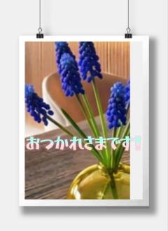 JaPON　藤香ﾌｼﾞｶ