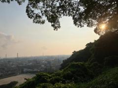 JaPON　藤香ﾌｼﾞｶ