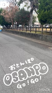 宮崎ちゃんこ都城店　こはる