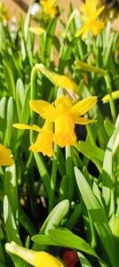 待ちナビ　しょう