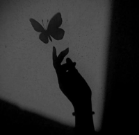 マドンナSANSAIN　ゆず