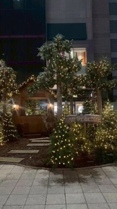 待ちナビ　れみか