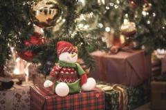 鹿児島ちゃんこ薩摩川内店　なな