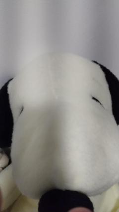 ドスケベ人妻　さくら♡希望でガーター訪問