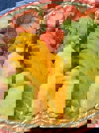 宮崎ちゃんこ中央通店　さな