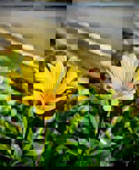 Relaxation spa Clover リラクゼーションスパ クローバー　