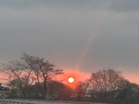 宮崎ちゃんこ都城店　くぅ