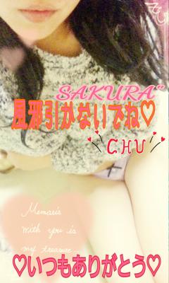 MICHELIN ミシュラン　