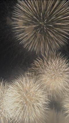 JaPON　元子　良い値コース