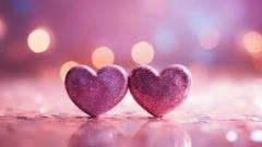 鹿児島ちゃんこ薩摩川内店　なな