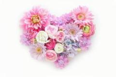 鹿児島ちゃんこ薩摩川内店　