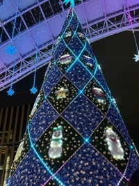 MIYAZAKI SANSAIN　ビビ