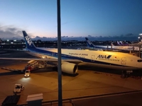 Fresh　ゆめか(AF無料)