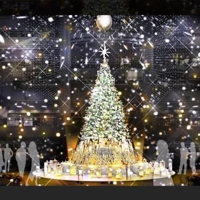 待ちナビ(福岡市) いろは